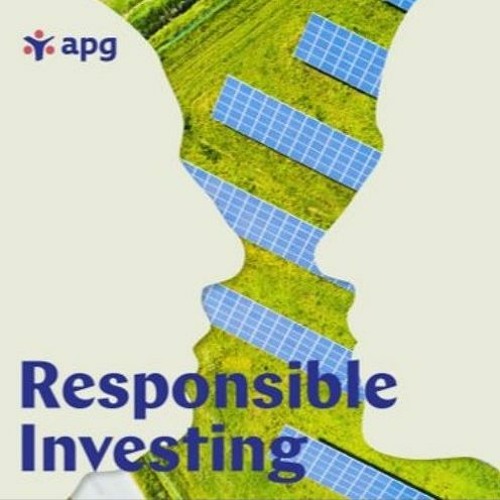 Stream The different roles of Asset Managers and Pension Funds by APG