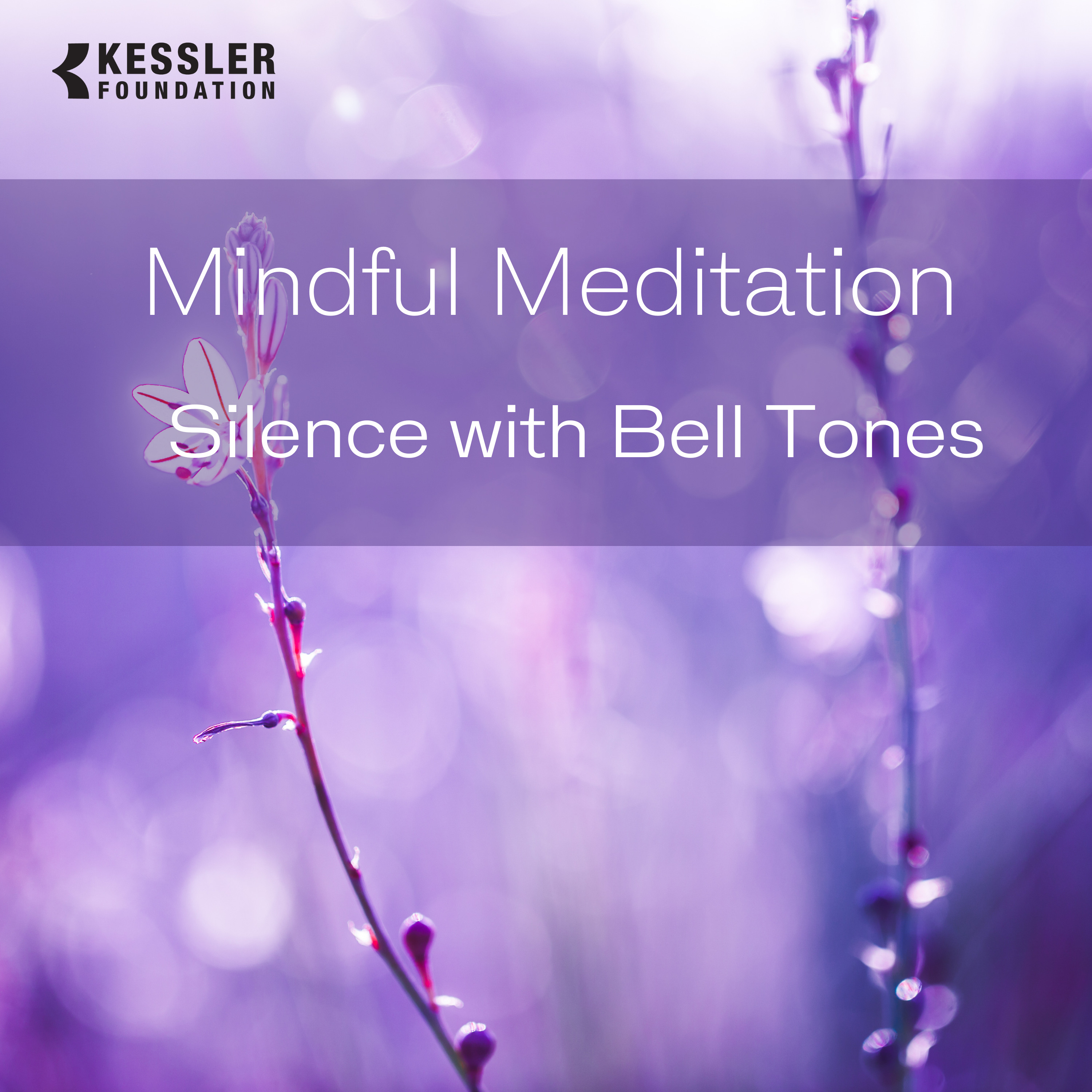 5-Minute Silence with Bell Tones Meditation