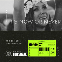 Tritonal - Now Or Never (EON:BREAK FLIP)