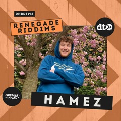 RENEGADE RIDDIMS: HameZ