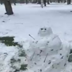 scary teacher w/ tarozan, marzy