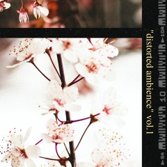 shameless.' "distorted ambience" sample pack vol.1