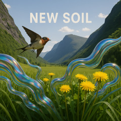 New Soil