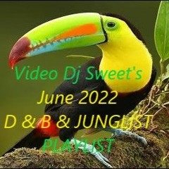 JUNE '22 • D & B 🤩 JUNGLIST • PLAYLIST
