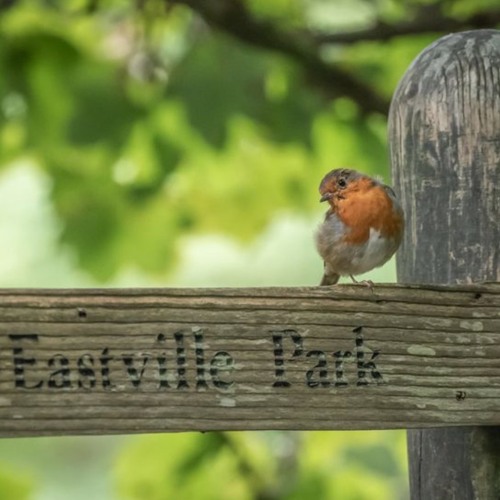 Our Lake(Soundscape composition)