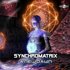 07 - Synchromatrix - Jumping & Pumping