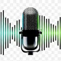 Meg Webb MLC on ABC Drive Radio Calls for Coronial Project Government Apology-6Feb25