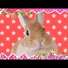 ウサギノキモチ CosMo暴走P Feat.初音ミク