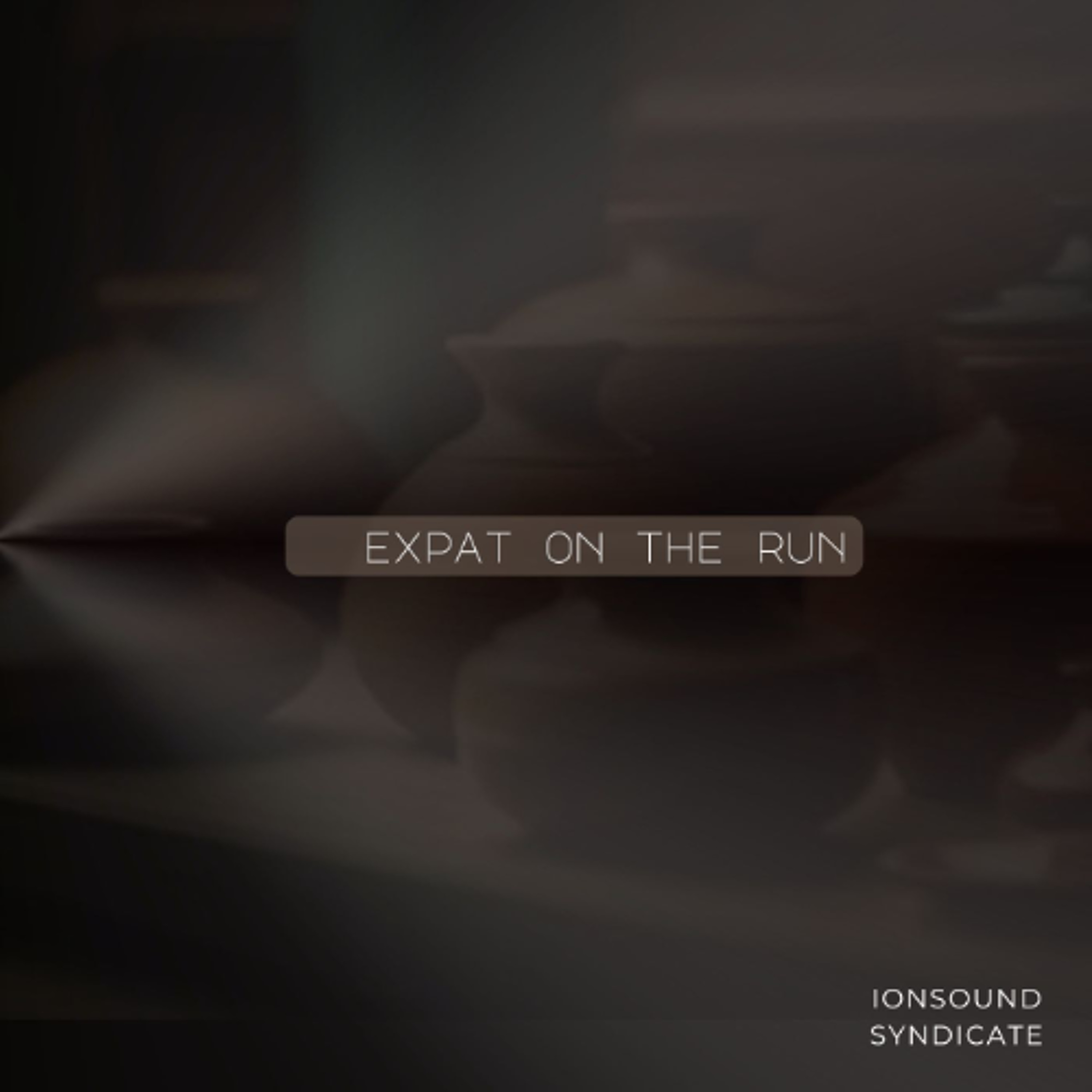 expat on the run episode artwork