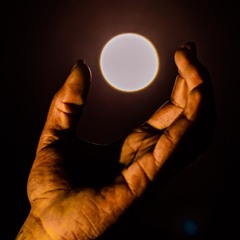 MAZIchien - TICALACIT