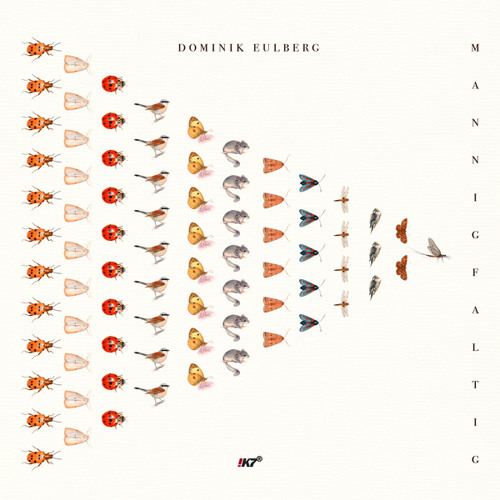 Zwölfpunkt-Spargelkäfer