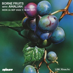 Borne Fruits with Amaliah - 26 September 2022