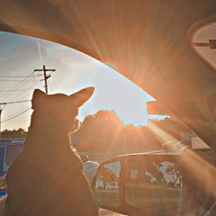 IM FALLING [ TB*Remixx ]