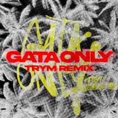 FloyyMenor, Cris MJ - Gata Only (Trym Remix)