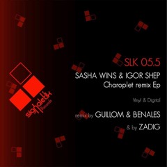 SWIS - Sasha Wins & Igor Shep - Charoplet (Maetrik Remix) / Vinyl