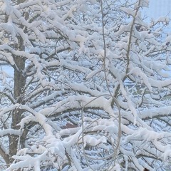 Outsiders: Drifting and Dreaming w/ Rambling Boy Harrers @ Kiosk Radio 18.01.2025