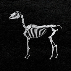 Arabian Horse (KATAR, KOFA Remix)