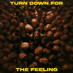 Free download: DJ Snake, Lil Jon x Massano "Turn down for the feeling" Alex Turr Mashup