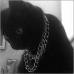 旧曲目创建者 krilva