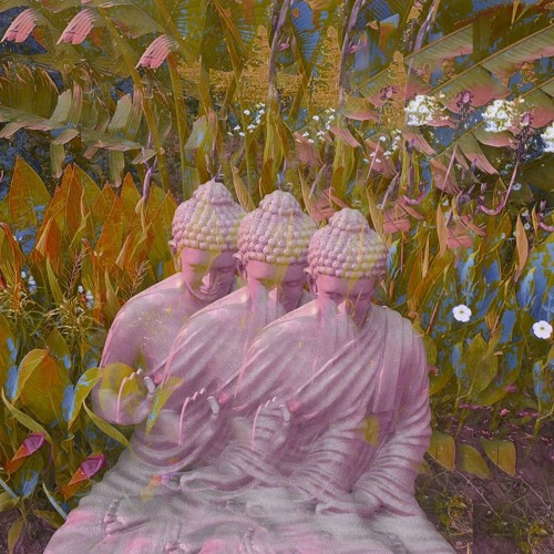 KU$H(Feat.stabbednguted)