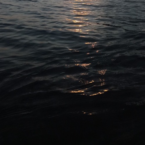 Reflections