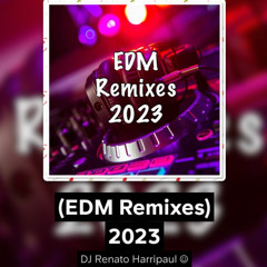 (EDM Remixes) 2023