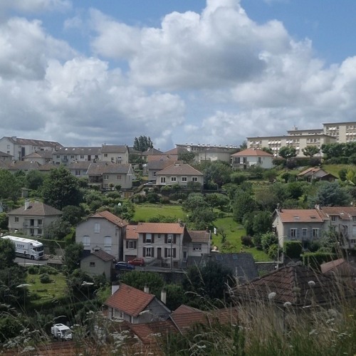 دنيتو وحشانى