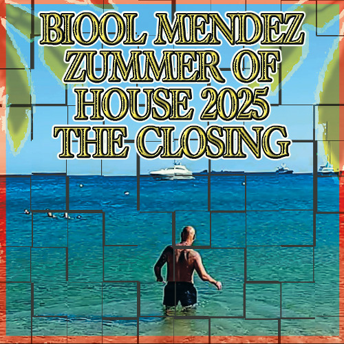 DJ BIOOL - ZUMMER OF HOUSE 2025 part 3 (the closing)