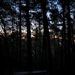 ALEPH - Nevertheless(그럼에도 불구하고 cover)