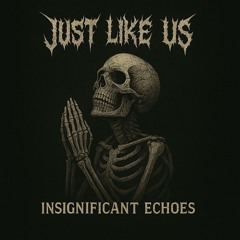 Insignificant Echoes