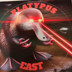 Platypus East Winter Solstice Improvisation