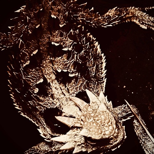 PAPER(SAV3HER) (prod.dispatcherrr)