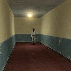 virtual torture chamber