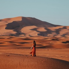 NIF - Desert sands (Original Mix)
