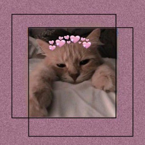 𝓬𝓱𝓵𝓸𝓮'𝓼 🄿🄻🄰🅈🄻🄸🅂🅃 卄口ㄗモ ㄚ口∪ ㄥ工Ｋモ 工匕😋