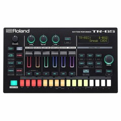 Roland TR06 【DEMO】