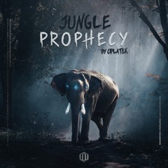 Ciplatek - Jungle Prophecy [DEM-U002]