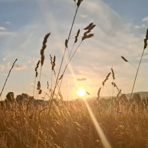 Acknowledge Black Is Better (TEASER)