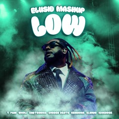 T. PAIN, WOOLI, SUBTRONICS, SVDDEN DEATH, KENDRICK, SLWMO, ISOKNOCK - LOW (ELUSID MASHUP)
