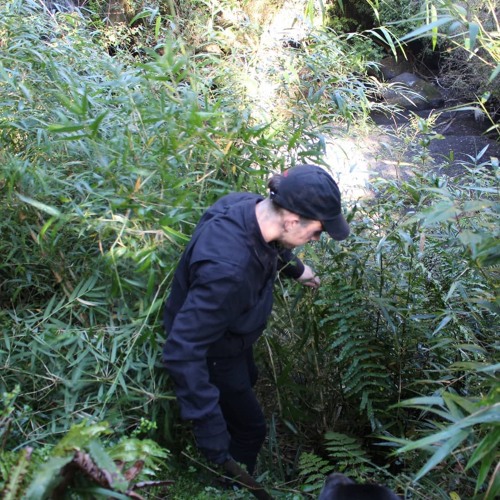 Angel Del 1999 - ENFASIS