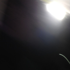 Fluorescent.demo