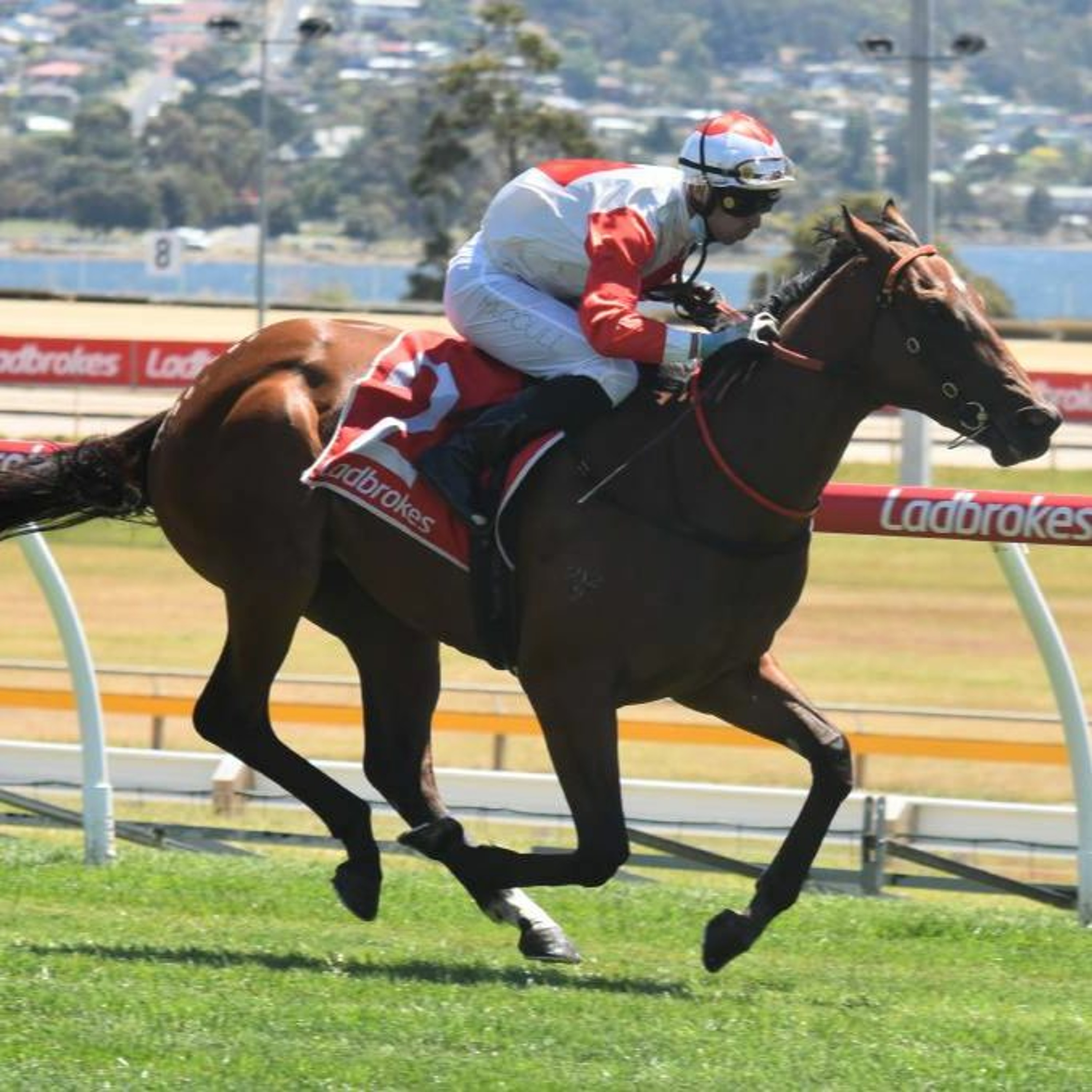 William Reid Stakes Night Punting Preview