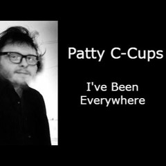 i've been everywhere (parody)