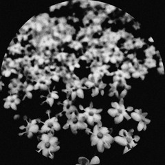 Dance Until Your Demons Hurt EP (entire.bandcamp.com)