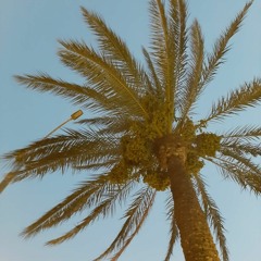 Adios Morena Alper Edit