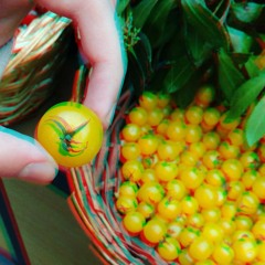 Sourish/Melike Şahin - Ham Meyveler(cover)