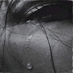 Shayad ( Prod . Mofleh & NZ )