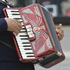 Schubert - Schwanengesang, 957 Standhen (Serenade)-REMIX ACCORDION