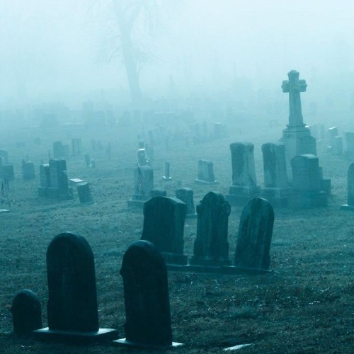 DVAULT x NIVOR x NEXIA. - EARTHELL (FOR SALE)