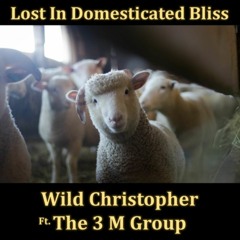 Lost In Domesticated Bliss - Unguided Express & Wild Christopher